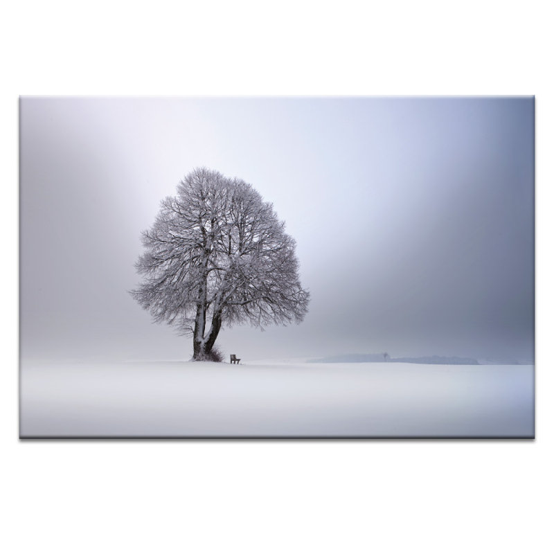 Print on Canvas, 102cm H x 152cm W, Unframed