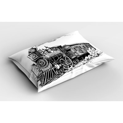 Steam Polyester Sham Set
