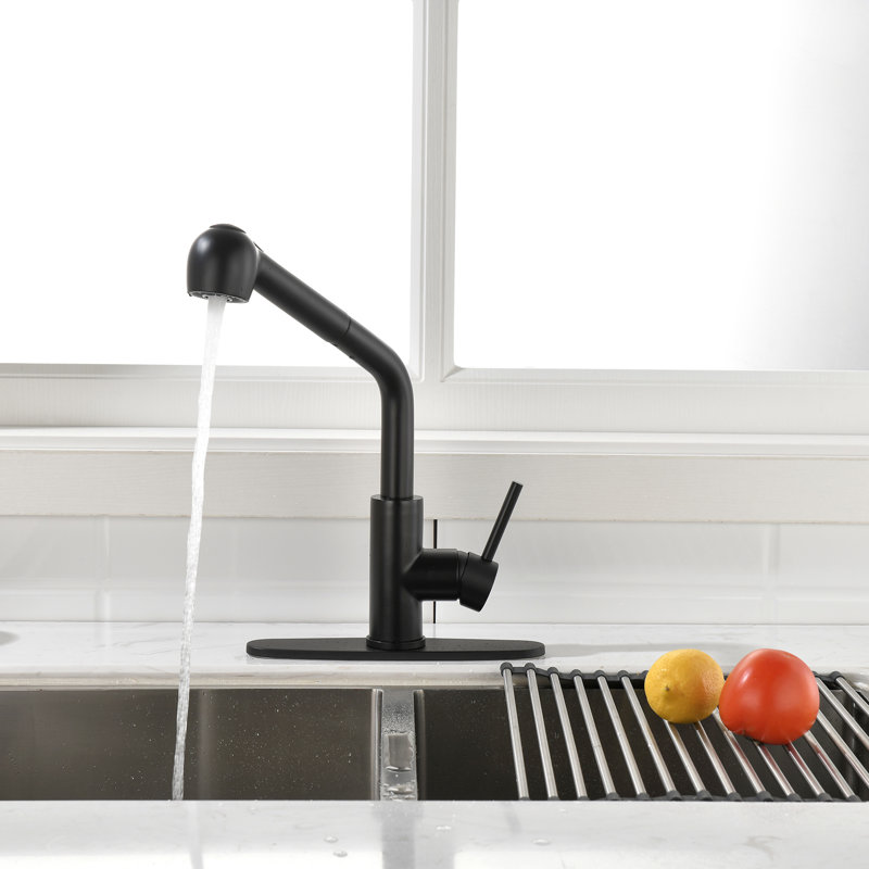 Fapully Pull Out Kitchen Faucet, Matte Bkack