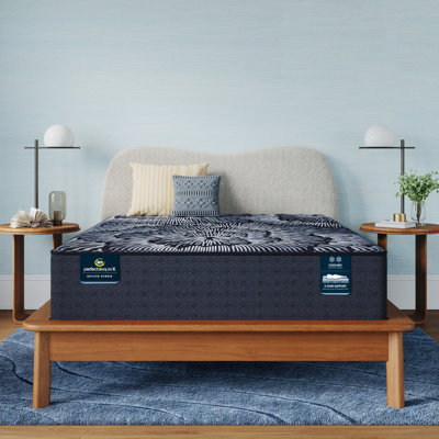 Perfect Sleeper X Excelled Extra Firm 13.75" Hybrid Mattress
