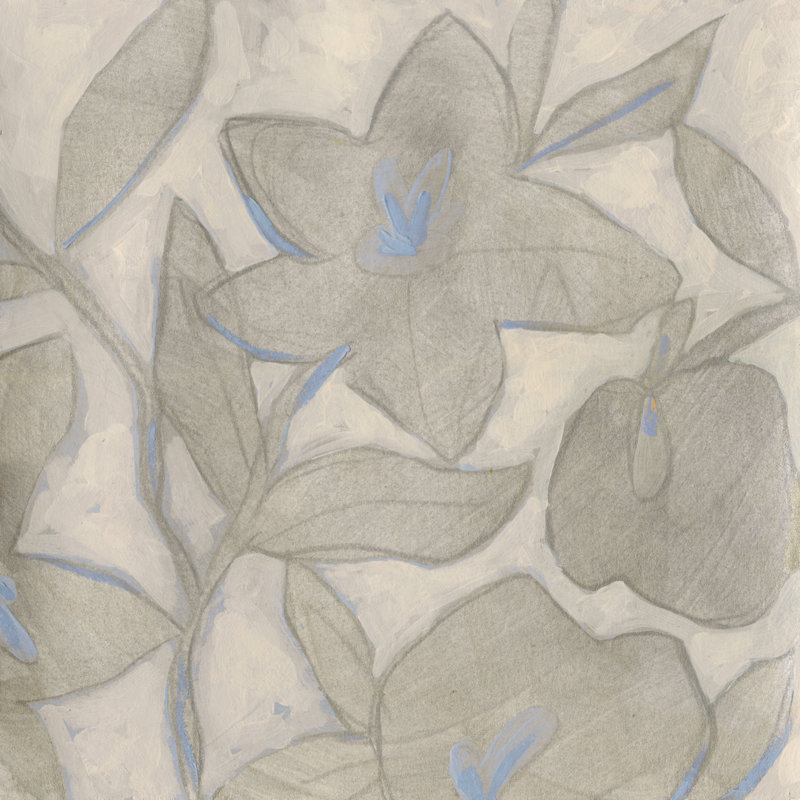 Silvertone Garden II by June Erica Vess - Wrapped Canvas Print, 51cm H x 51cm W x 3.8cm D