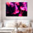 Bright Pink Jellyfish-107924424