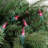 100-Count Mini Christmas Light Set 20.25ft Wire-694996666