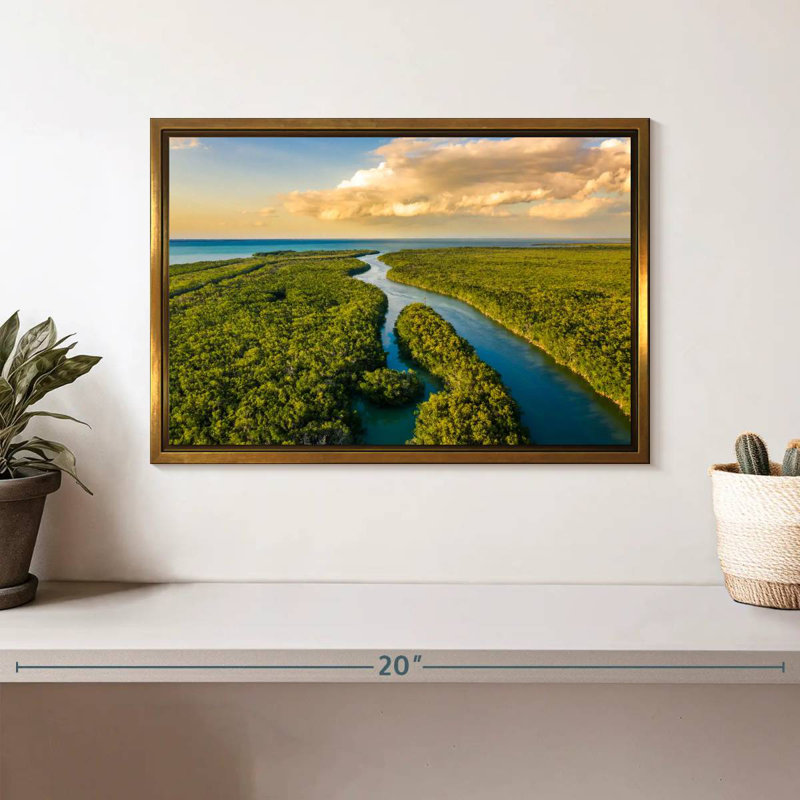 Parc national des Everglades, Cadre flottant doré, 13 po x 9 po