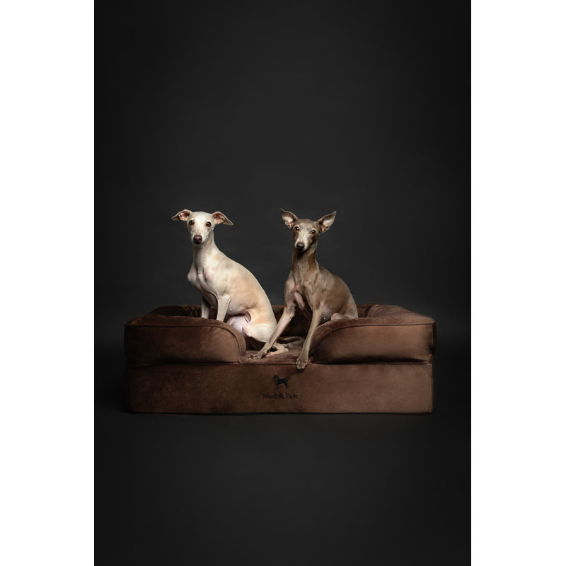 Noah & Paw Giant Dog Bed XXL,  Orthopedic Dog Beds, Eggshell Memory Foam Infused with Cooling Gel, Inner Cover, Waterproof, Machine Washable (Velvet Sofa Collection)