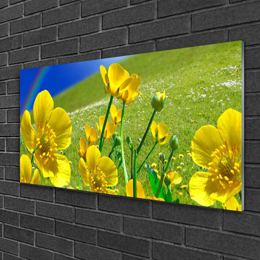 Glasbild Wiese Blumen Regenbogen Natur