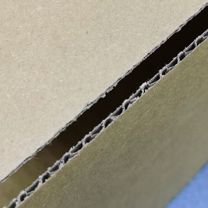 File Box, 10" H x 14" W x 4" D