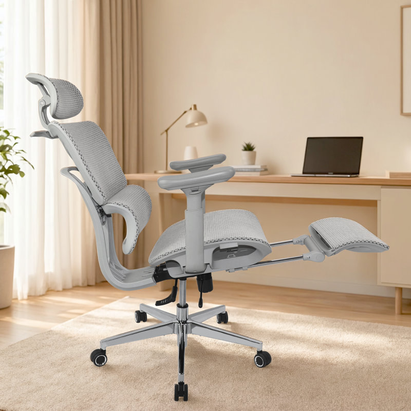 Rebrilliant Office Chair with Headrest, Grey, Grey
