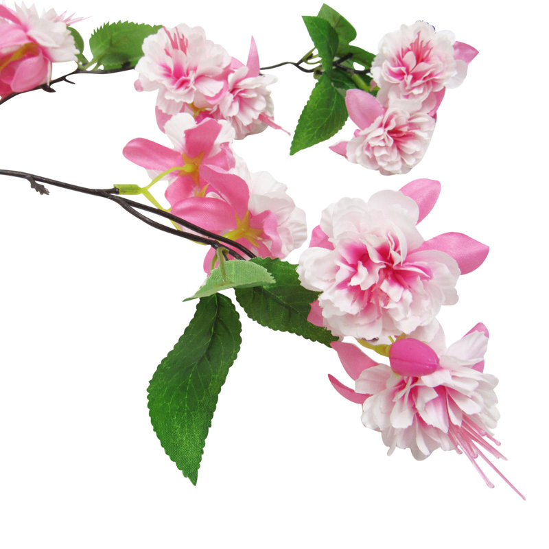 Arrangement, Fuchsia
