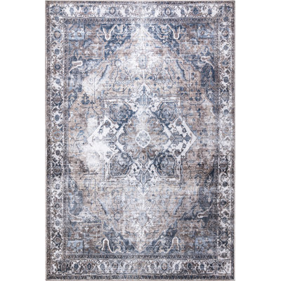 Oriental Indoor Rug