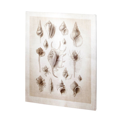 Toile texturée embellie à la main, collection Ocean Shell I par Christopher James a