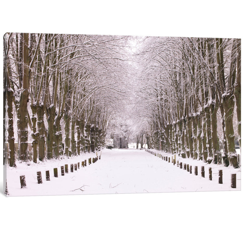 " Winter's Aisle " by Assaf Frank, 26" H x 40" W x 1.5" D