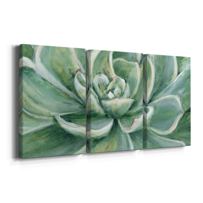 " Succulent " 3 - Pieces