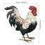Statue de jardin en métal Verde Rooster-1645474843