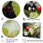 " Botanical Landybug Harmony "-1123780536-1123780541