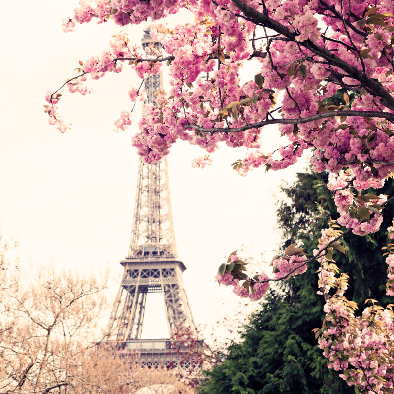 Adelainda Tour Eiffel sur toile par Andreka, photographie, H 12 po x l 12 po