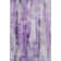 Cerrito Area Rug with Non-Slip Backing