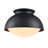 Iftimie Glass Flush Mount-2094860358