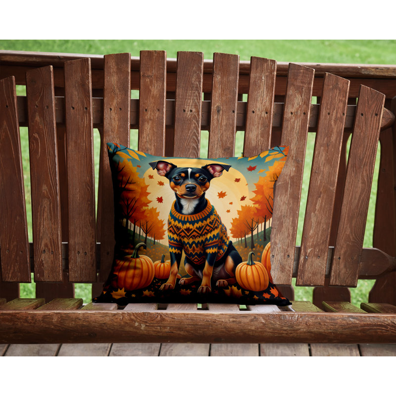 Other/No Pattern Outdoor Throw Pillow, 14" x 14"