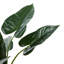 Plante artificielle verte Monstera vert avec pot en plastique noir
