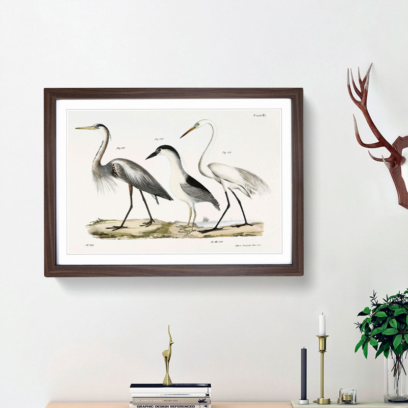 Three Herons by J.E. De Kay - Picture Frame Painting Print, Walnut Framed, 48cm H x 65cm W x 2cm D