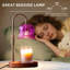 Lampe chauffe-bougie avec minuterie, intensité variable, motif floral violet, hauteur réglable pour une ambiance chaleureuse et parfumée dans toutes les pièces. Design romantique pour une ambiance chaleureuse et parfumée. Verte.