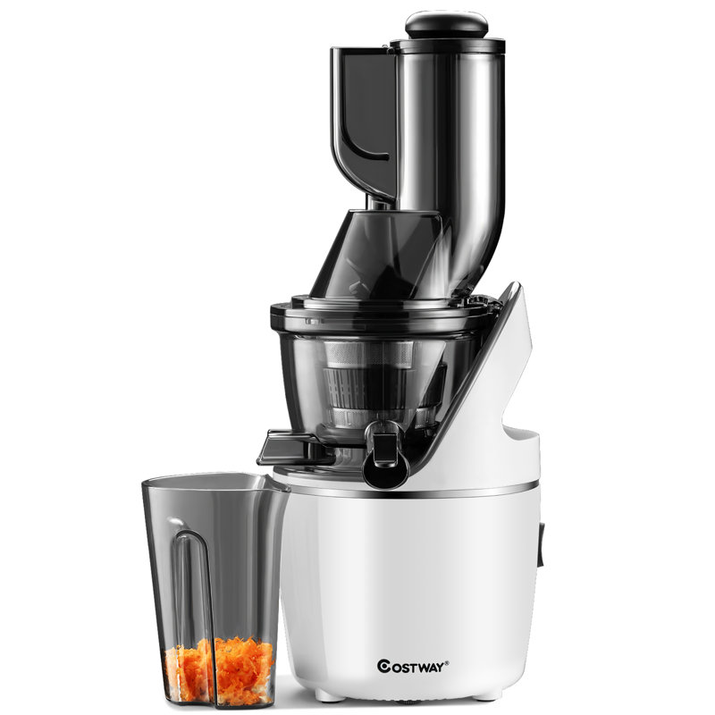 Costway Electric Slow Masticating & Cold Press Juicer
