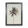 Black Framed