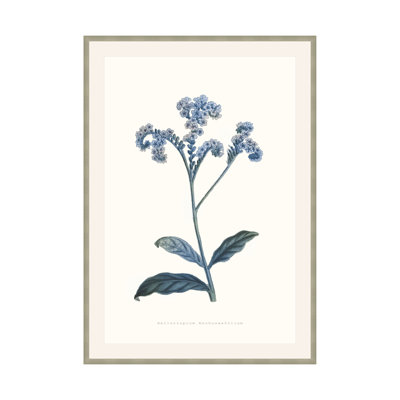 Bouquet Blue 4 Framed Graphic Art