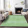 Premium Machine Washable Prisco Aloe Rug
