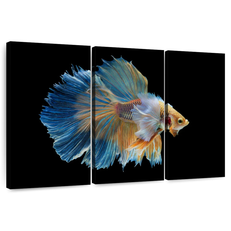 Brampt Sublime Fighter Fish, 36" H x 57" W