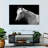Brampt Horse Headshot-107719615