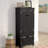 Harsens 48.25 " H Kitchen Pantry with Adjustable Shelves-308595916