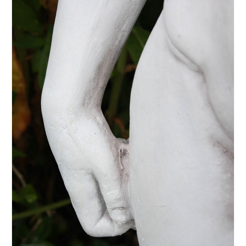 David Statue