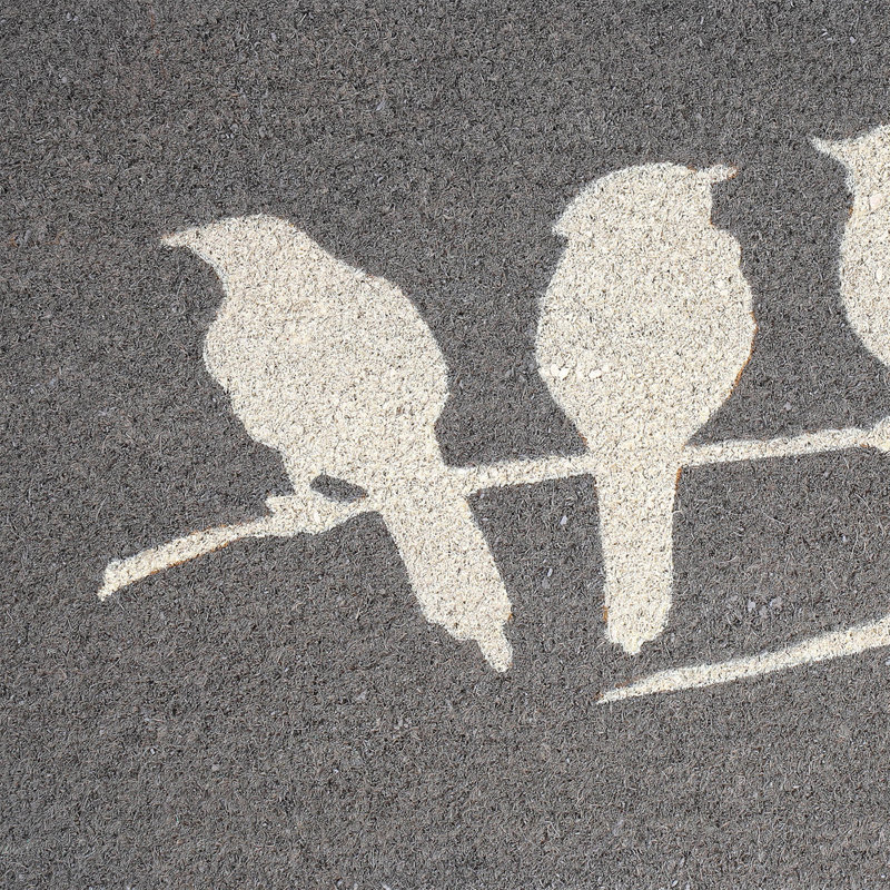Paillasson Laurrine, 18" x 30" Non-Slip, Birds on Branch - Grey