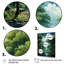 Toile Bold Forest Emerald VI - Décoration murale paysage et nature-1104953564-1104953555