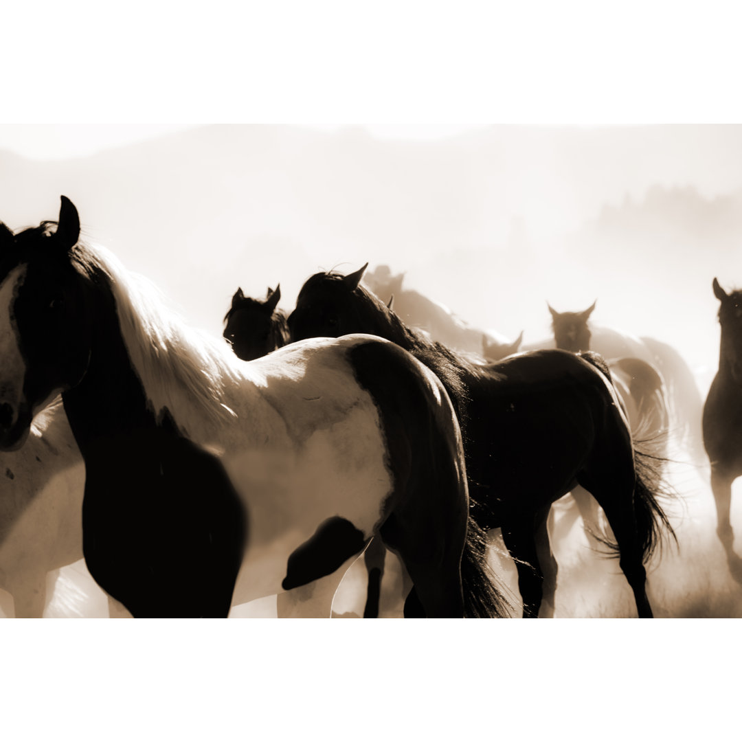 Cowboys: Männlicher Wrangler hütet Pferde. Reiten. Ranchleben. Sepia. von Fstop123 - Druck auf Leinwand ohne Rahmen