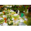 Maria Flor Earthenware Cereal Bowl