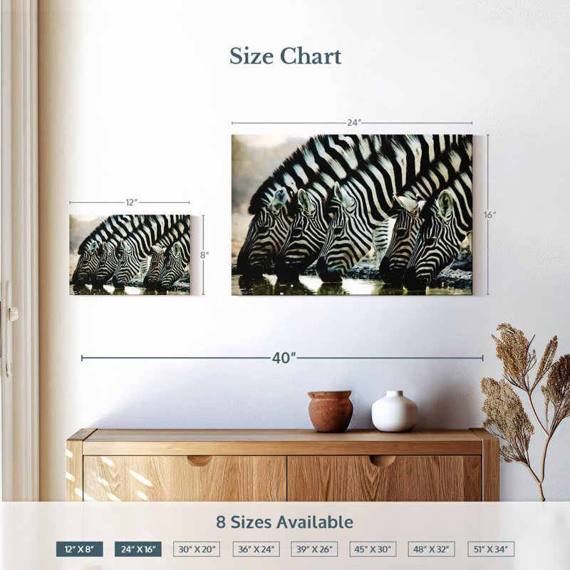 Brampt Scheveningen Zebras, 16" H x 24" W