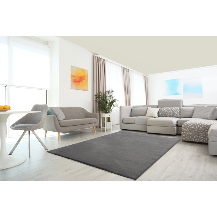 Mashpee Solid Colour Area Rug