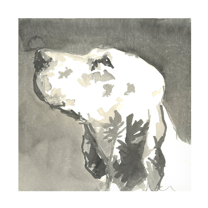 Art sur toile «A Modern Modern Dog»