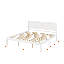 Wood Bed Frame With Headboard, Wood Platform Bed Frame With Slat Support-892219414