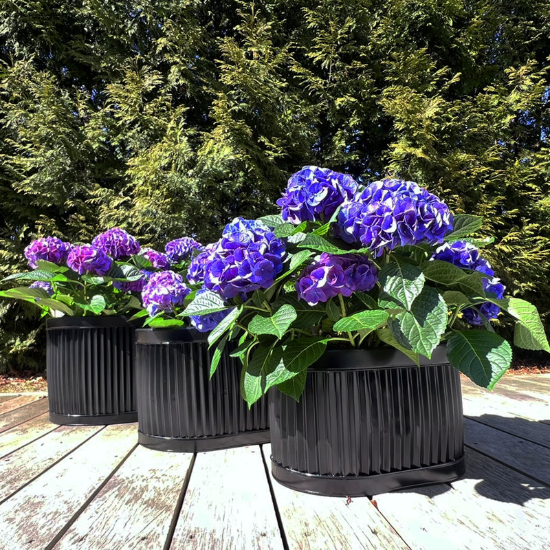 3 Piece Nina Oval Belly Planters, Glossy Black