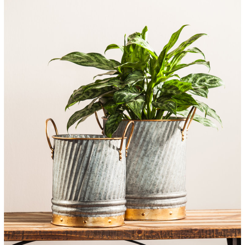 Juliet Metal Pot Planter