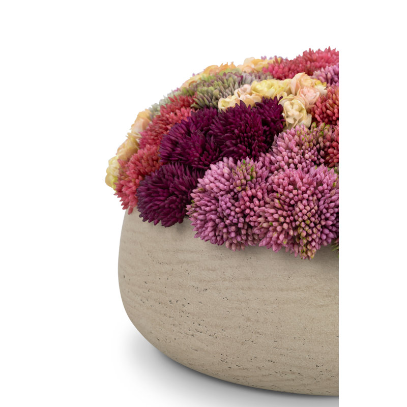 Ariane Sedum Arrangement, Ash