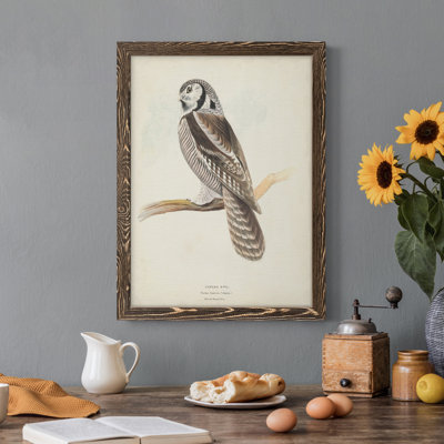 Toile encadrée de qualité supérieure Canada Owl - prête à être accrochée