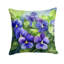 Coussin décoratif Rhode Island-114457439