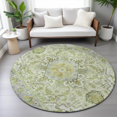 Machine Washable Indoor/Outdoor Oden ACN2163 Global Rug