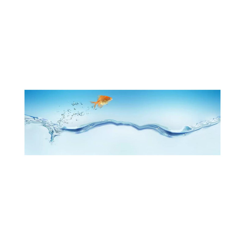Goldfish Jumping Out Of Water by Panoramic Images - Wrapped Canvas Panoramic Print, 121.92 cm H x 40.64 cm W x 1.91 cm D