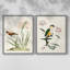 Oiseau dans l'habitat III - reproduction encadrée de qualité supérieure - prête à être accrochée - aucun clou requis - aucun clou requis-375483498-375483496